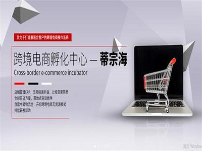 蒂宗海专业经营互联网加盟培训、跨境电商招商加盟等产品及服务