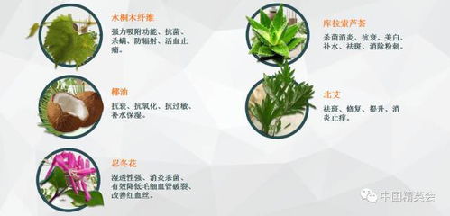 精英产品 洁洛仕水桐木纤维洁面丝 只需一片,代替洗面奶卸妆水