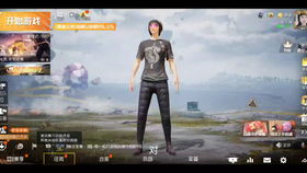 和平精英第死话 第四话 经典模式胜利