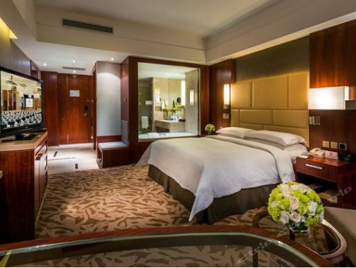 独角兽 深度研究报告 中国的 独角兽 为何这么牛