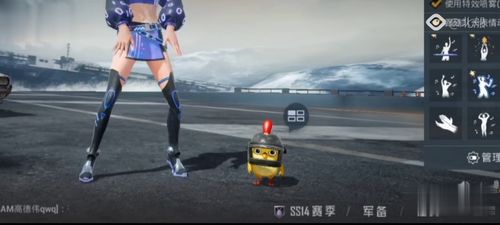 和平精英 精英玩家的竞技之道